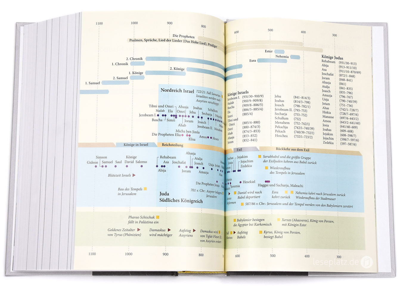 Neues Leben. Die Bibel - Standardausgabe "Grace & Hope"