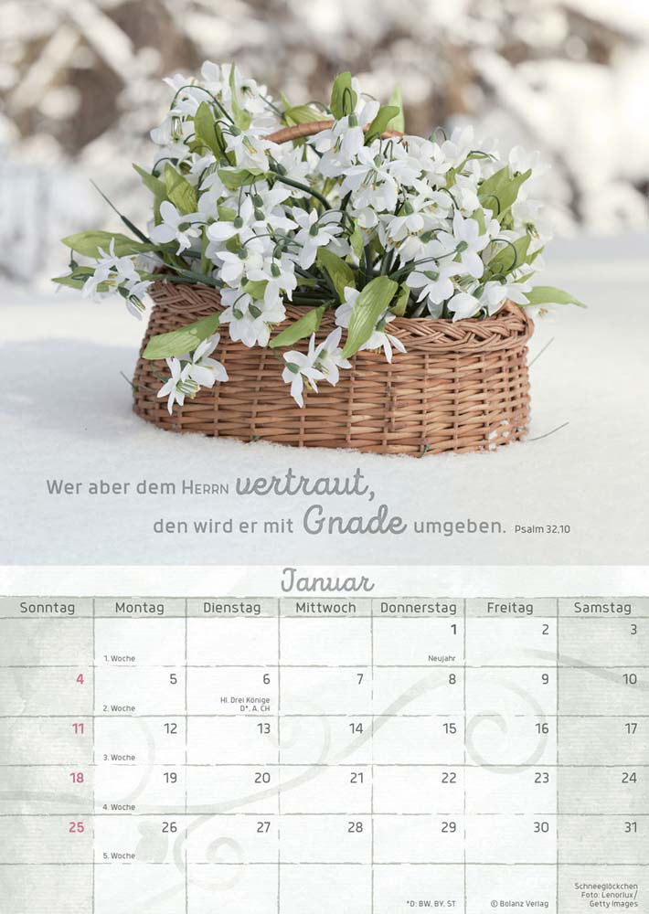 Momente der Freude 2026 - Wandkalender