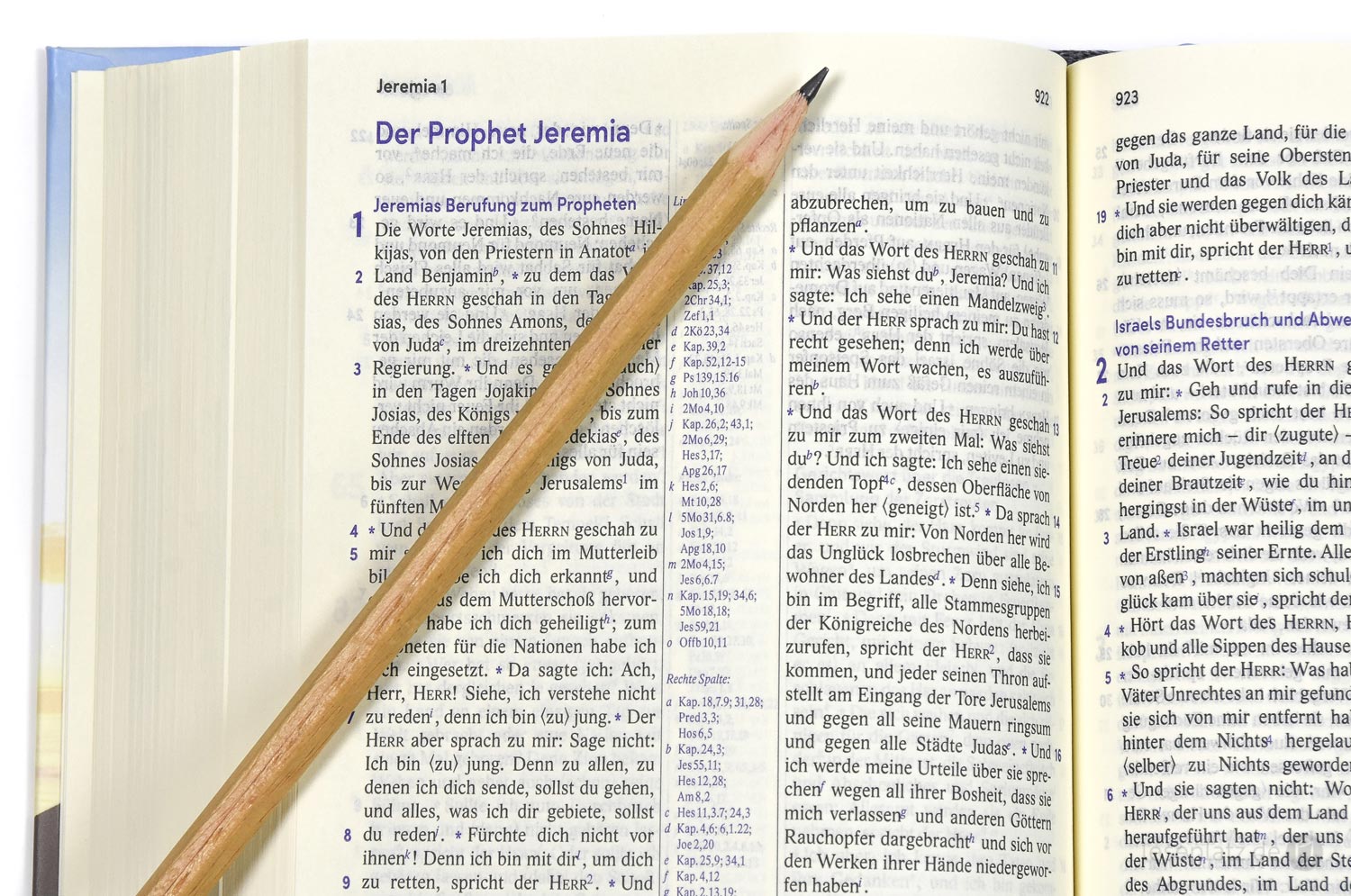 Elberfelder Bibel 2006 Taschenausgabe - Motiv Möwen