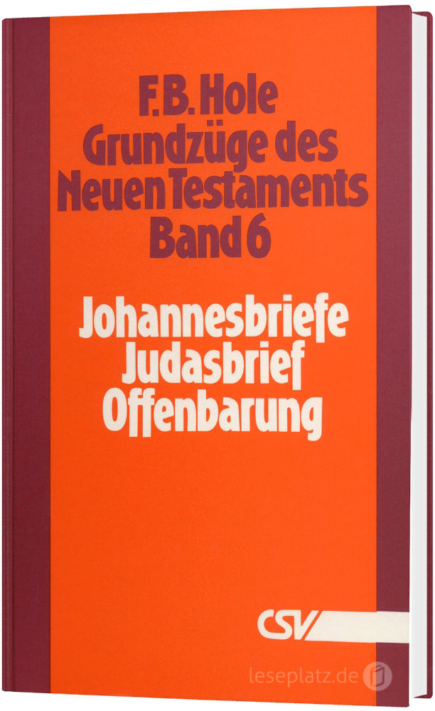 Grundzüge des Neuen Testaments - Band 6