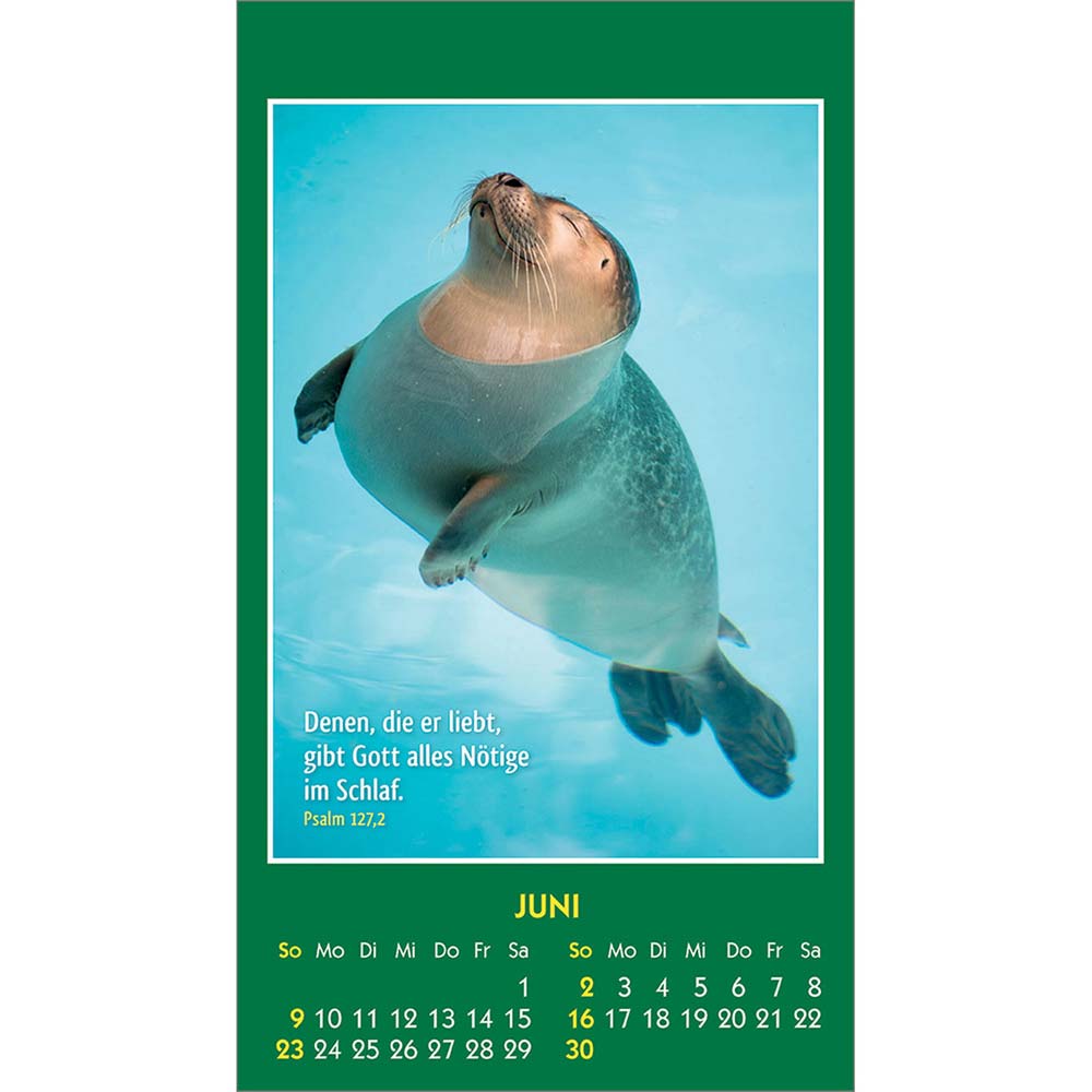Hallo Du 2024 - Aufkleber-Kalender