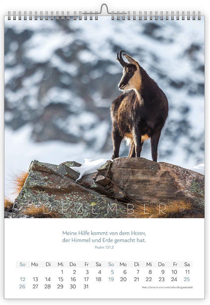 Natur 2027 - Fotokalender