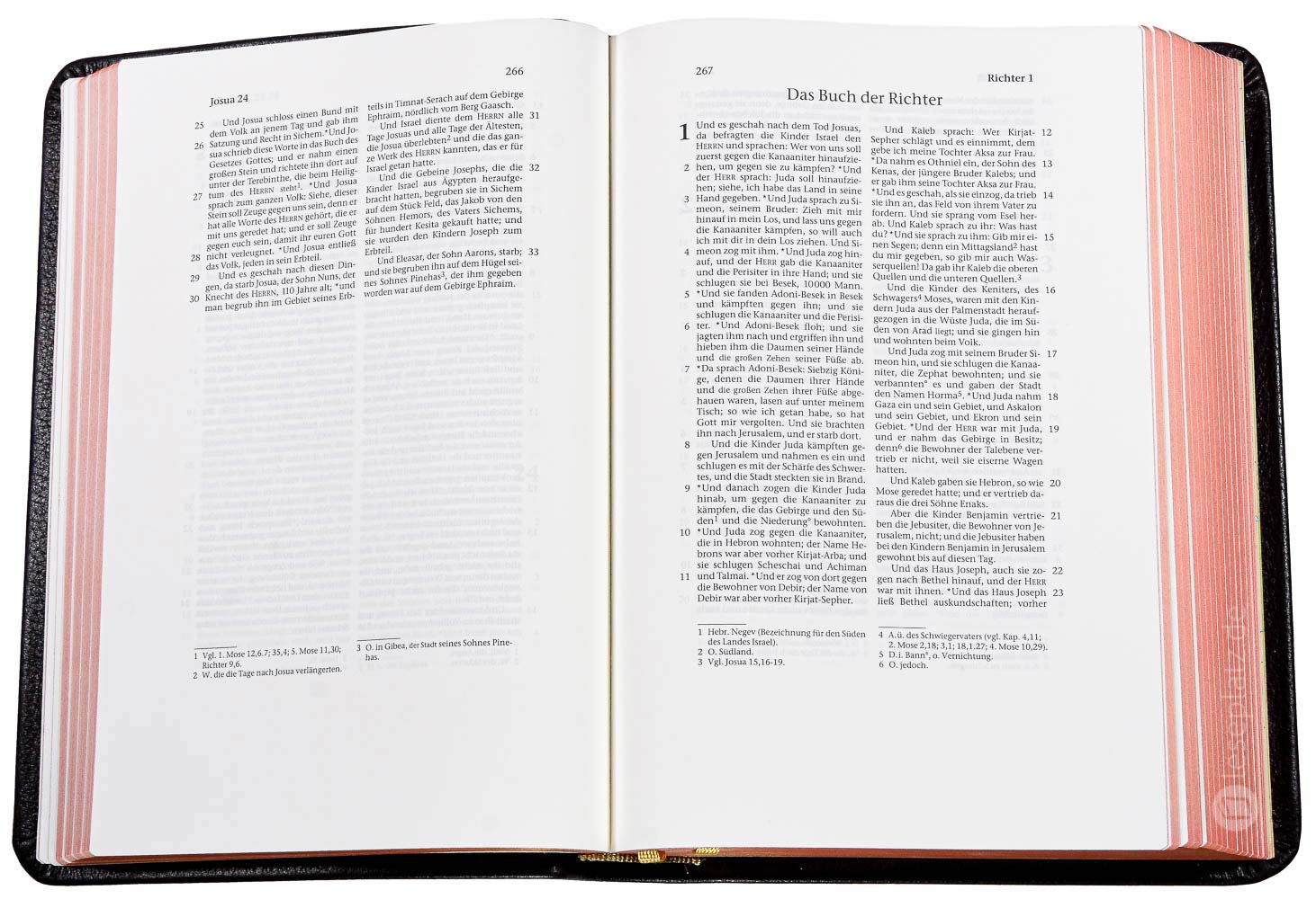 Elberfelder 2003 - kl.Schreibrandausgabe / Leder dunkelbraun Rotgoldschnitt