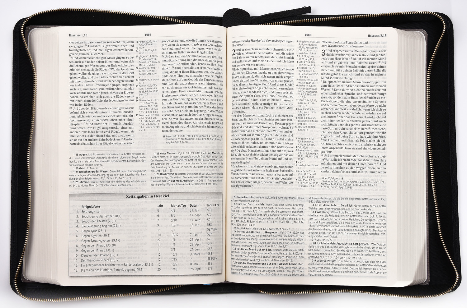 MacArthur Studienbibel - Hardcover mit Rindlederhülle