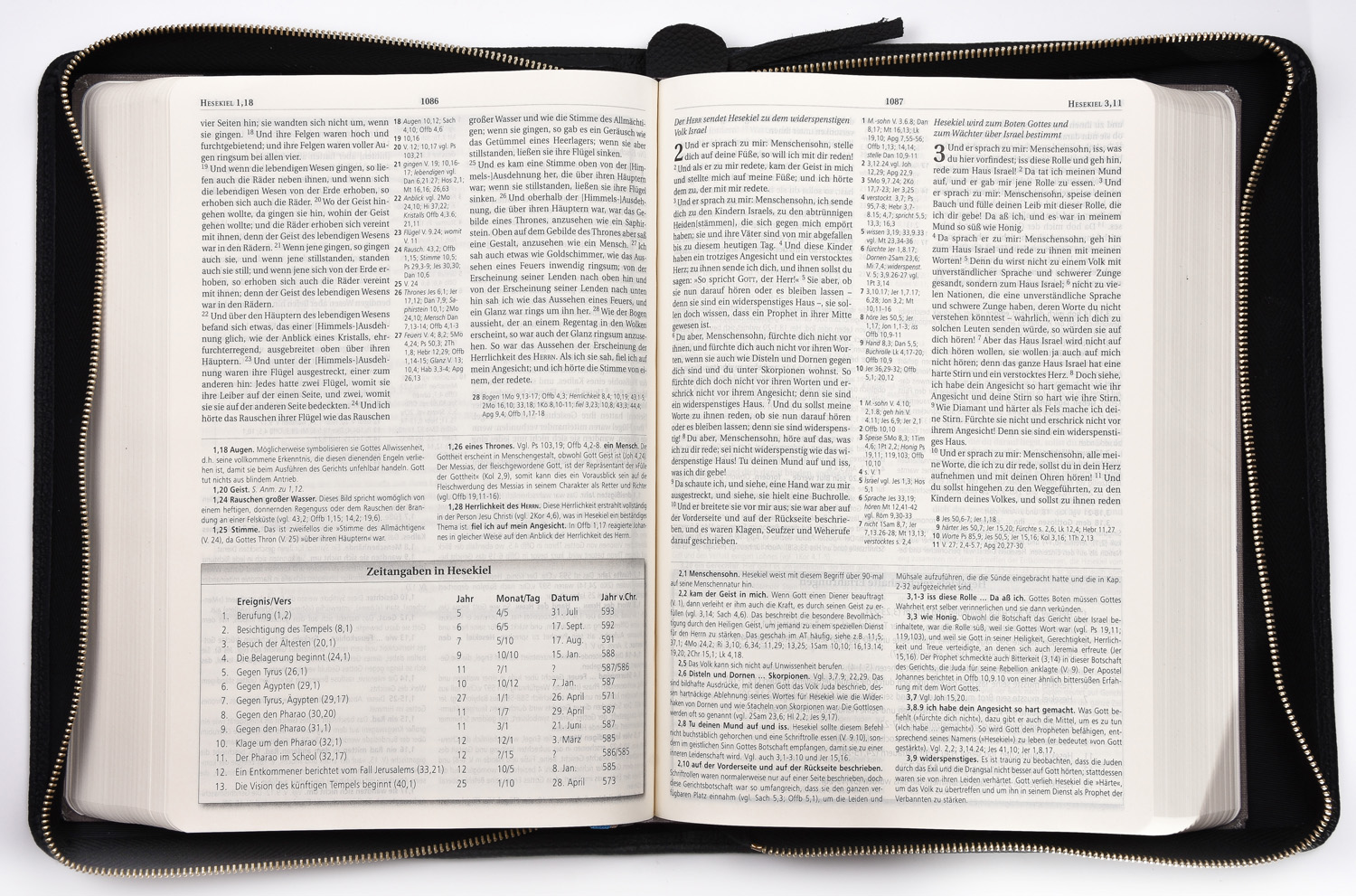 184775001_10 MacArthur Studienbibel - Hardcover mit Rindlederhülle