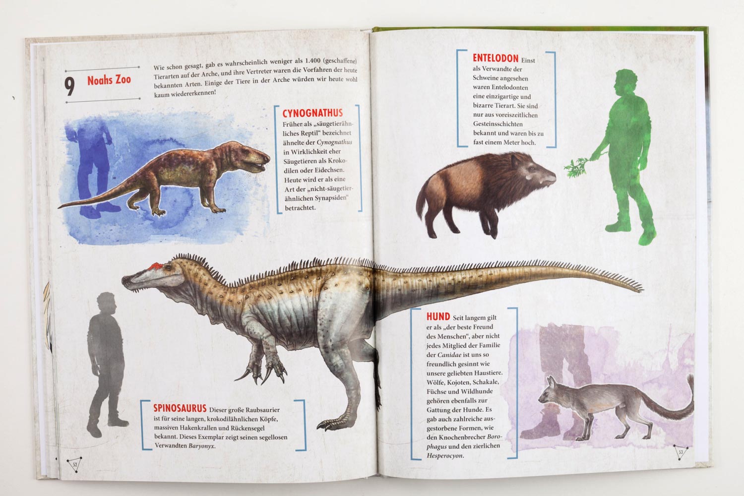 Wie viele Tiere waren in der Arche?