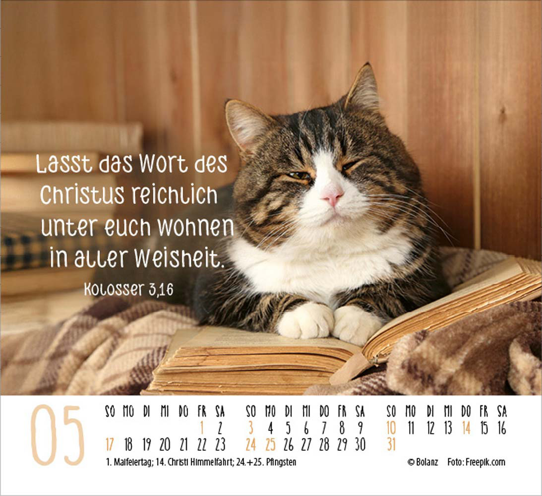Katzen 2026 - Minikalender  