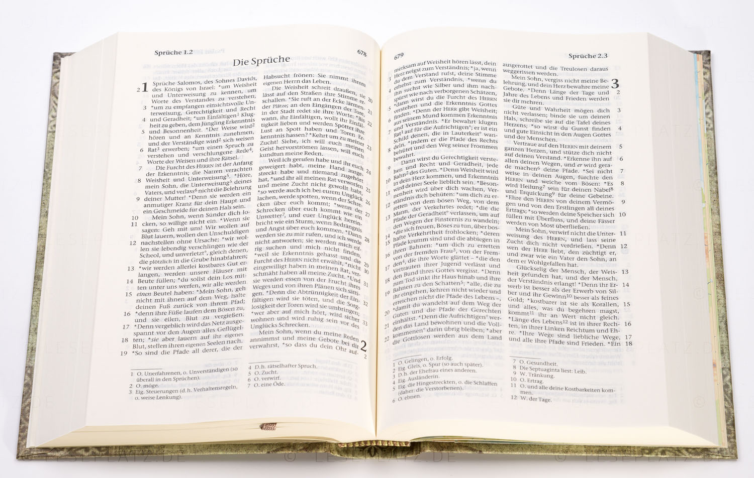 257023_03 Elberfelder 2003 - Taschenausgabe / Hardcover "Vintage"