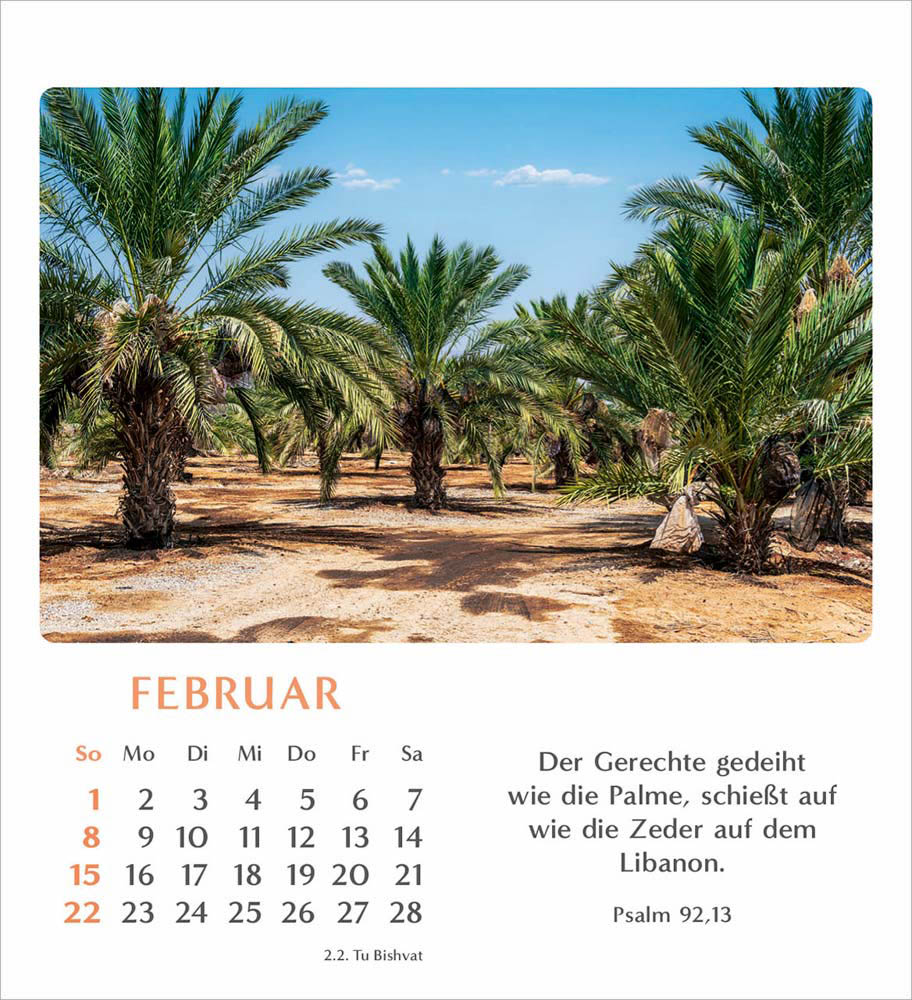Geliebtes Israel 2026 - Verteilkalender Geliebtes Israel 2026 - Verteilkalender