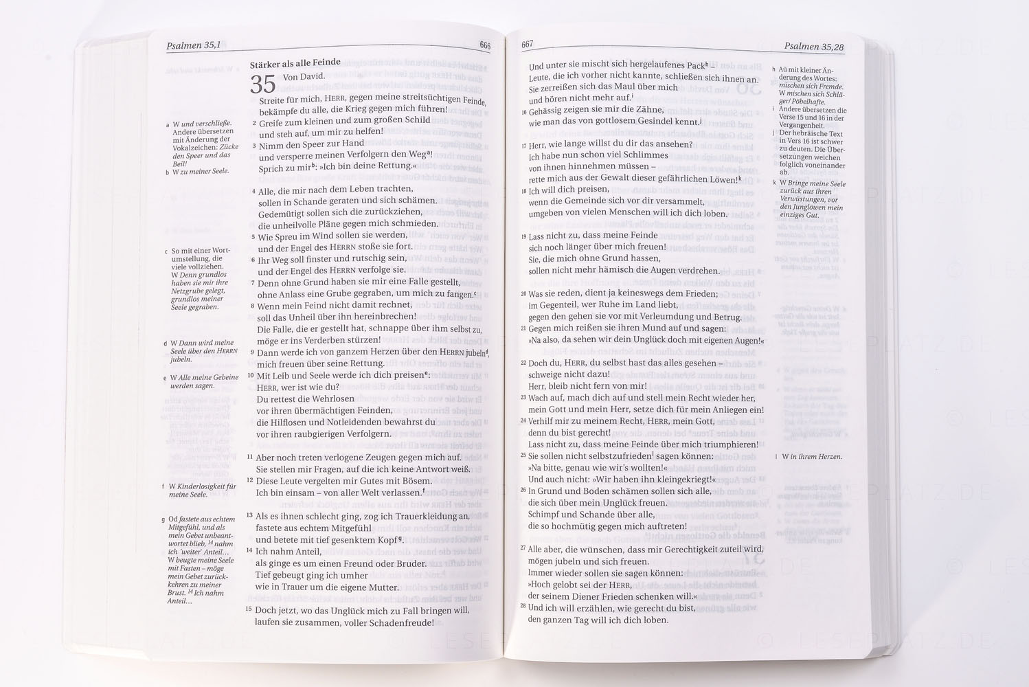 NGÜ - Neues Testament mit Psalmen und Sprichwörter