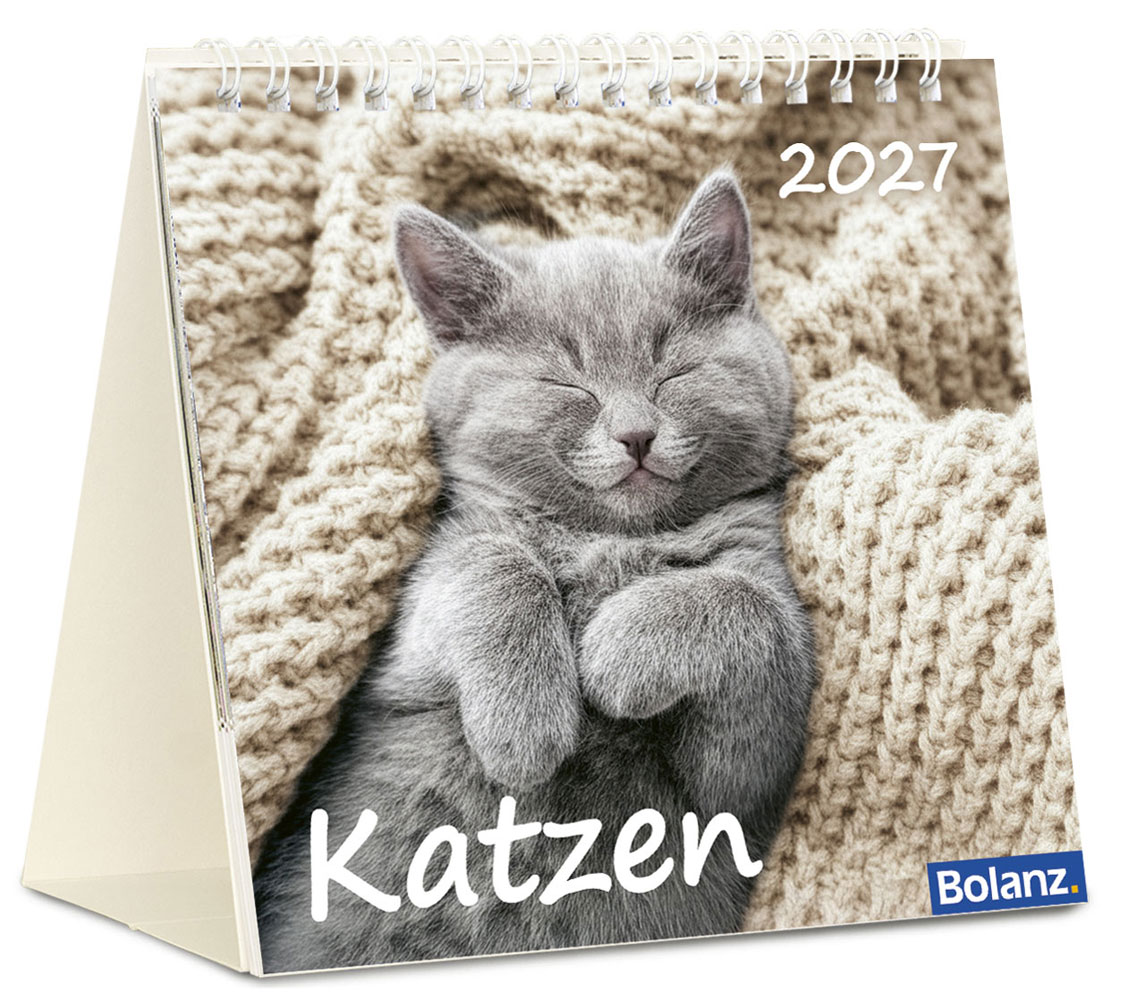 Katzen 2027 - Tischkalender