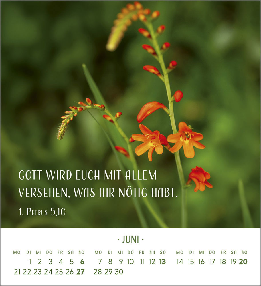 Zarte Blumengrüße 2027 - Tischkalender