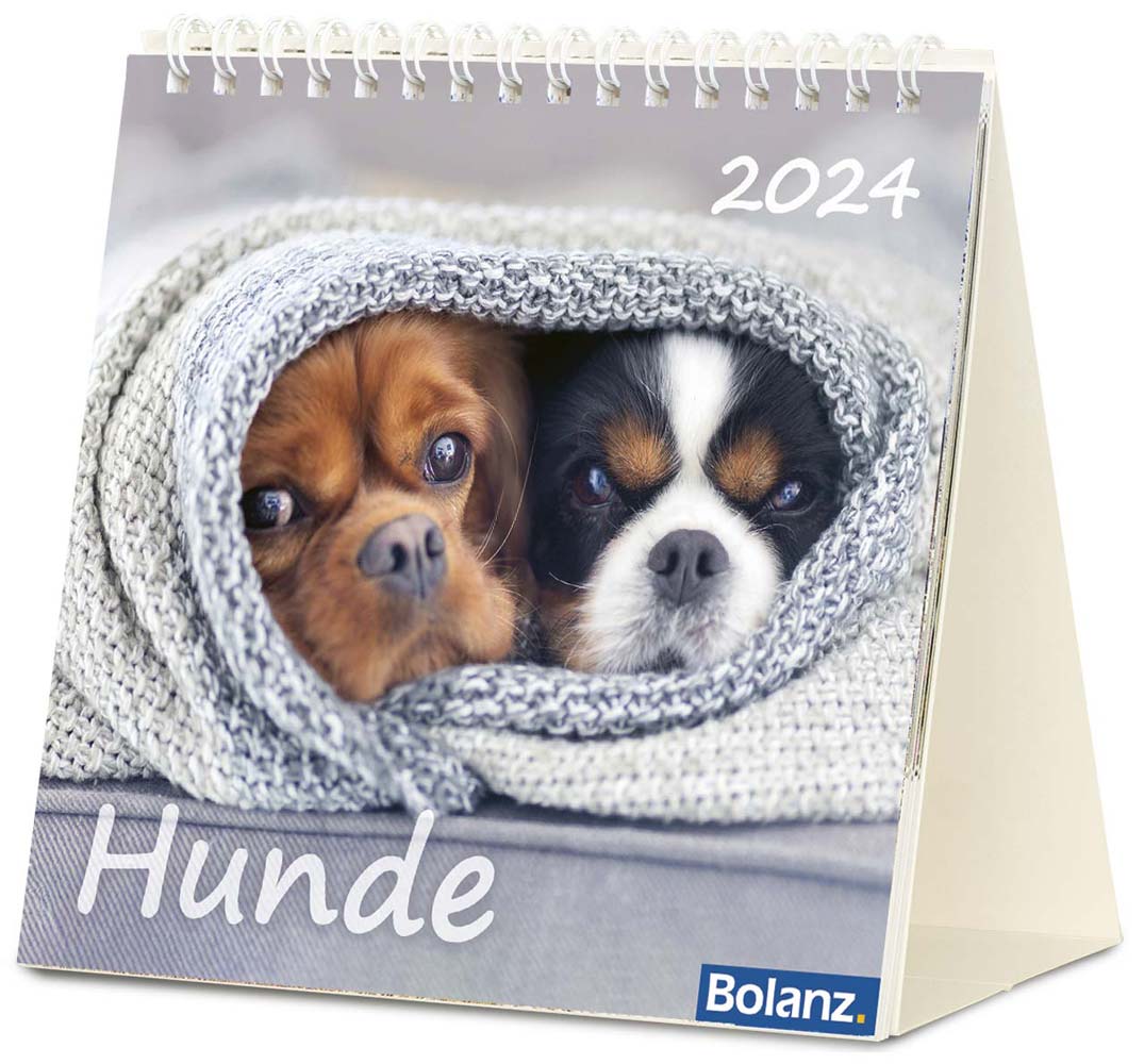 Hunde 2024 - Tischkalender