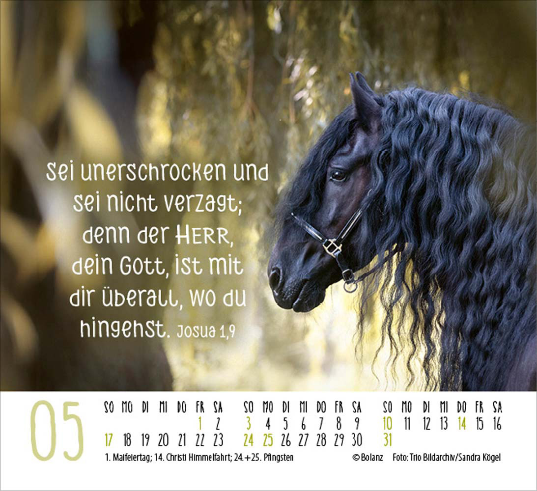 Pferde 2026 - Minikalender  