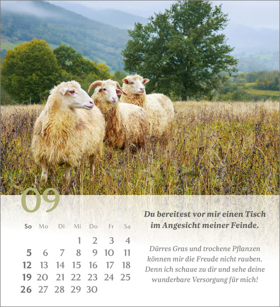 Psalm 23 - Tischkalender 2027