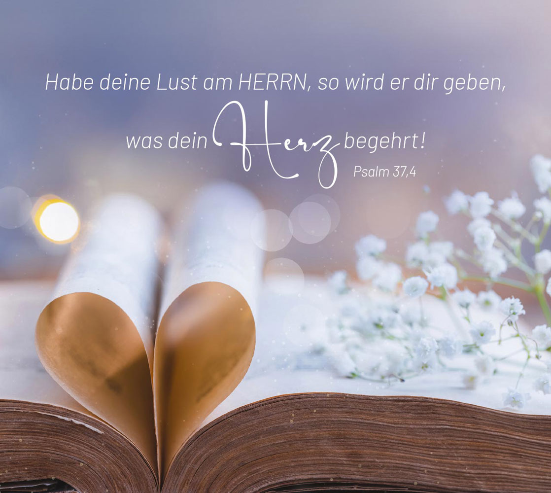 Geborgen in Gottes Hand - Aufstellbuch