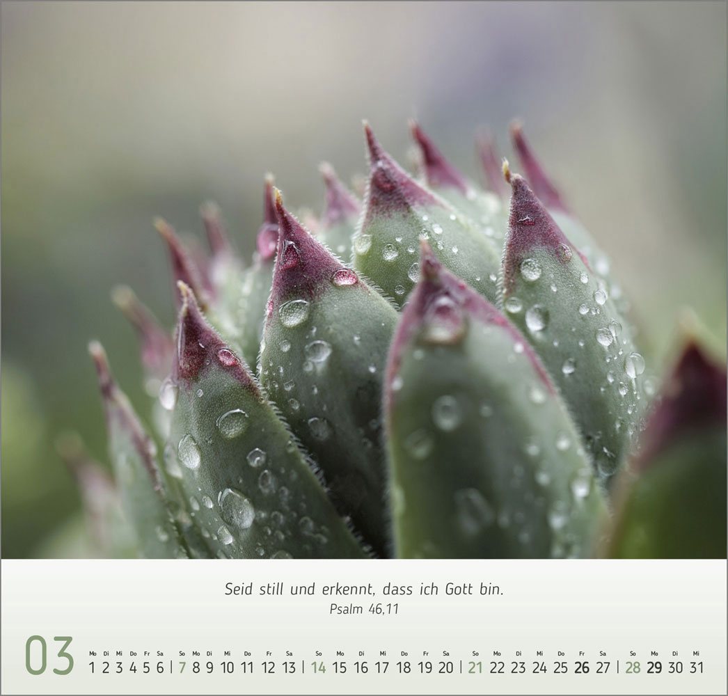 Gesichter der Natur 2027