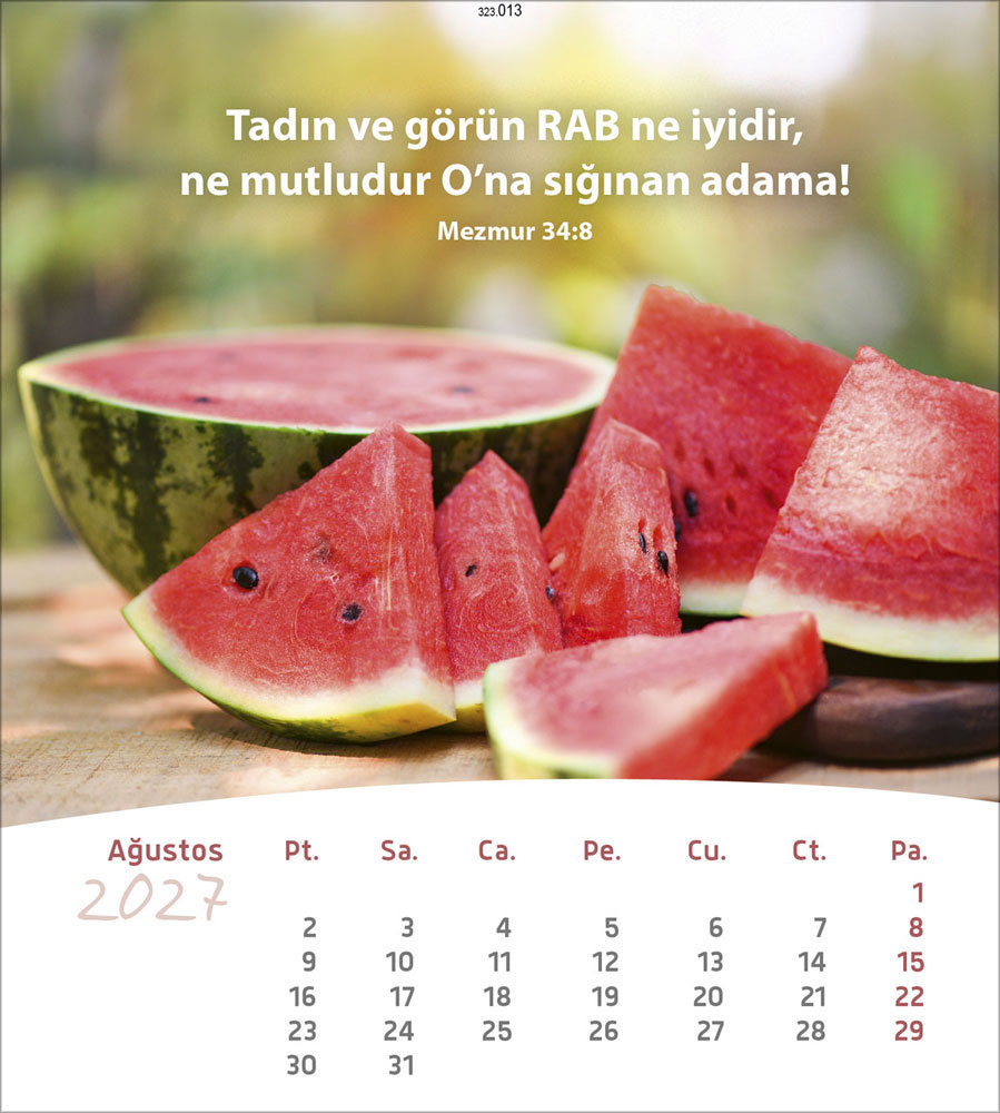 Leben für Dich 2027 - Verteilkalender (Türkisch)