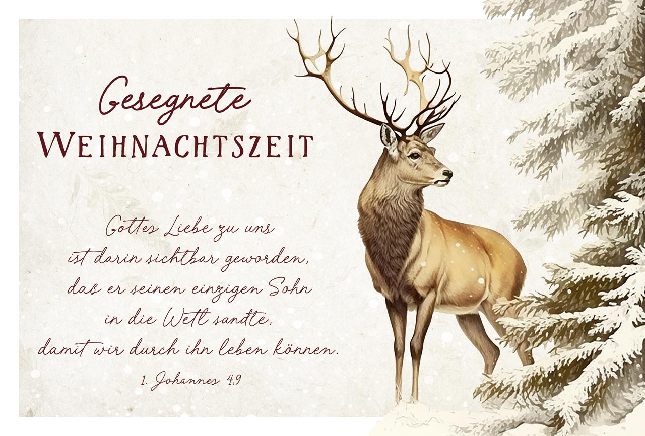 Mini-Spruchkarten-Set Weihnachten