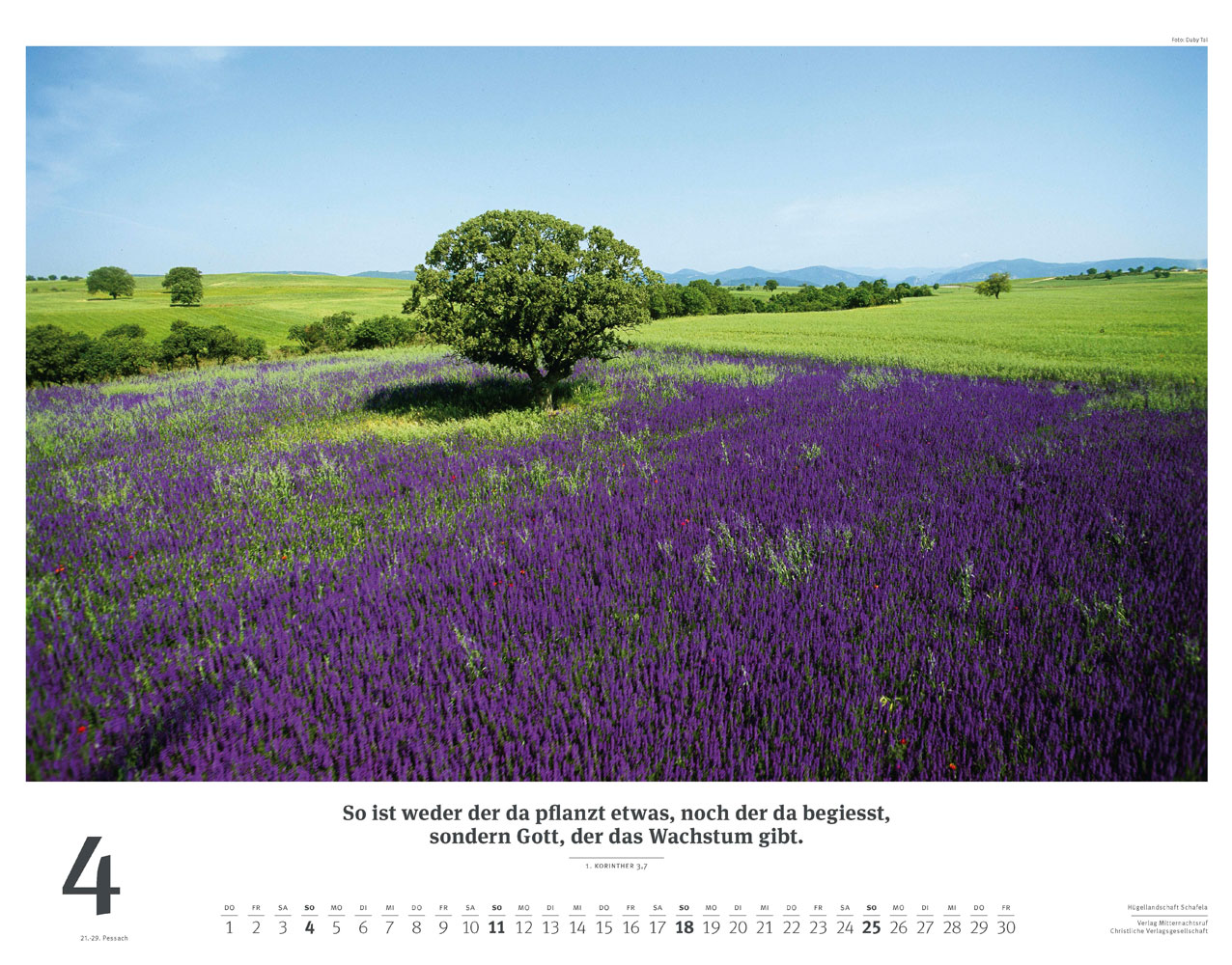 Israel 2027 - Wandkalender (Weiß)
