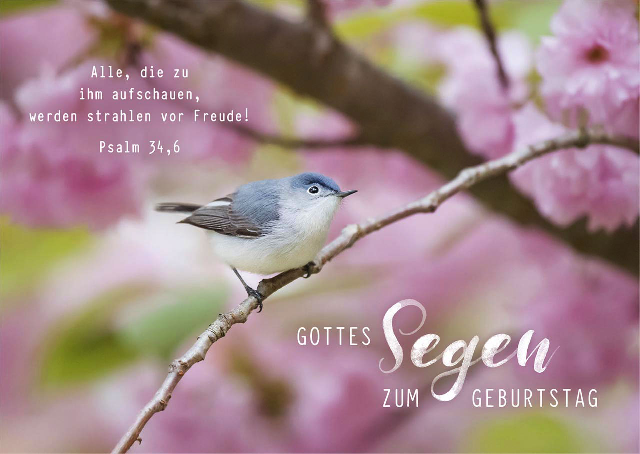 Postkarte "Gottes Segen zum Geburtstag"