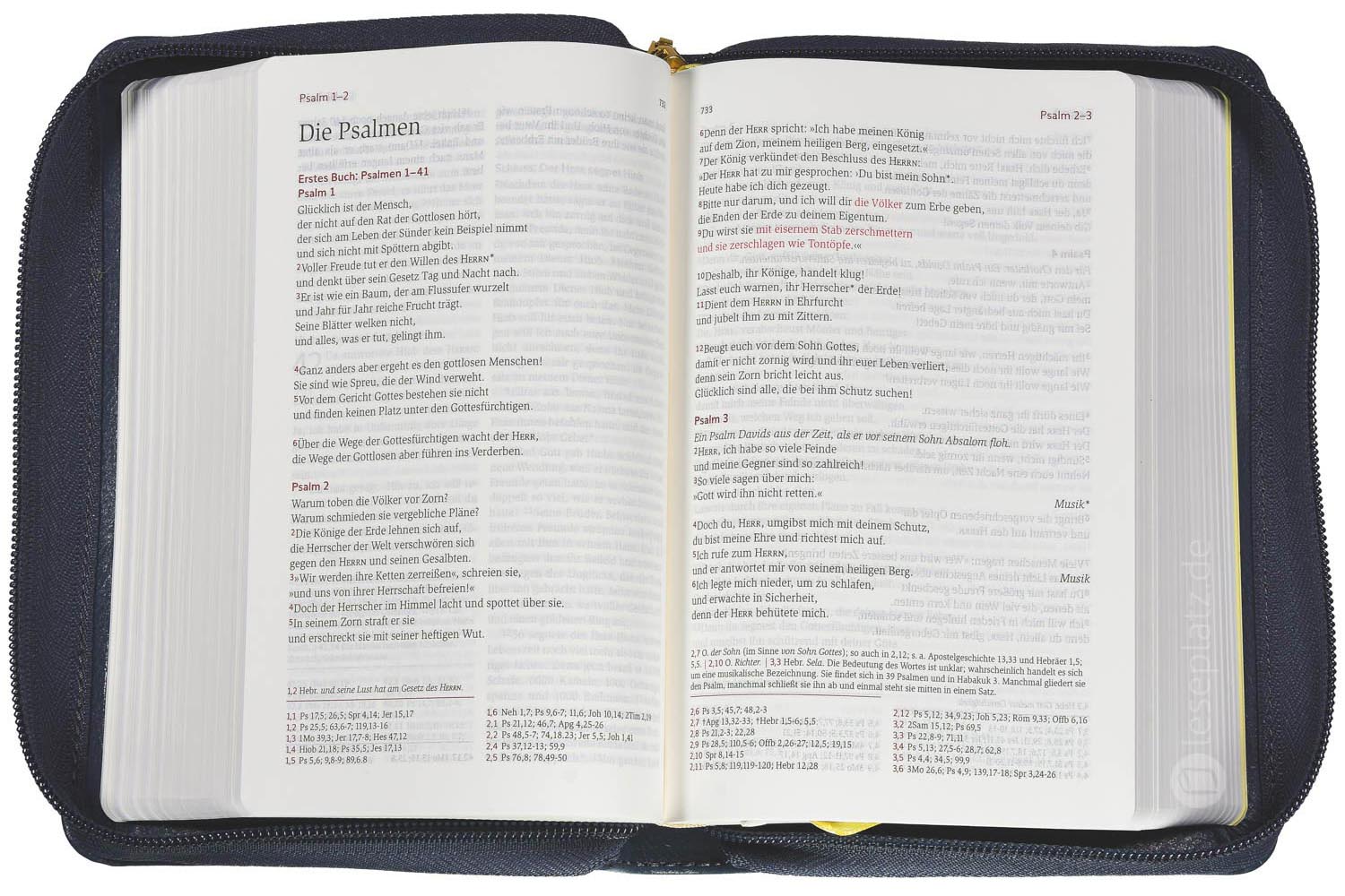 Neues Leben. Die Bibel -  Taschenausgabe - Leder / Reißverschluss