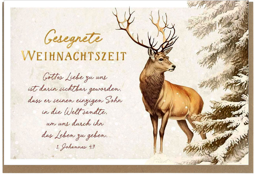 Faltkarte "Gesegnete Weihnachtszeit" Faltkarte "Gesegnete Weihnachtszeit"