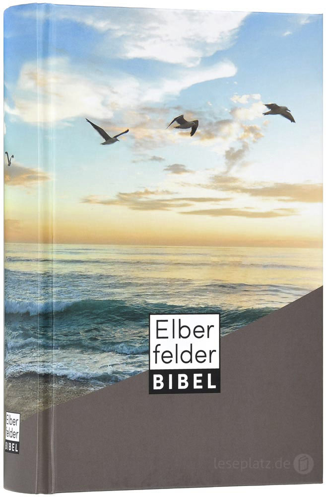 Elberfelder Bibel 2006 Taschenausgabe - Motiv Möwen