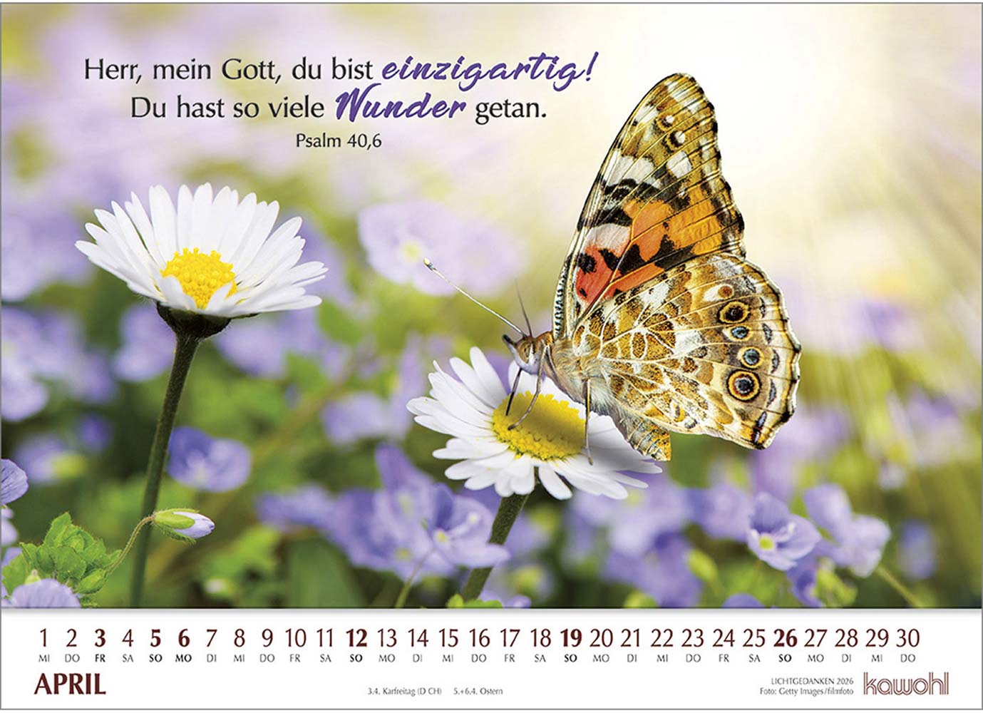 Lichtgedanken 2026 - Wandkalender Lichtgedanken 2026 - Wandkalender