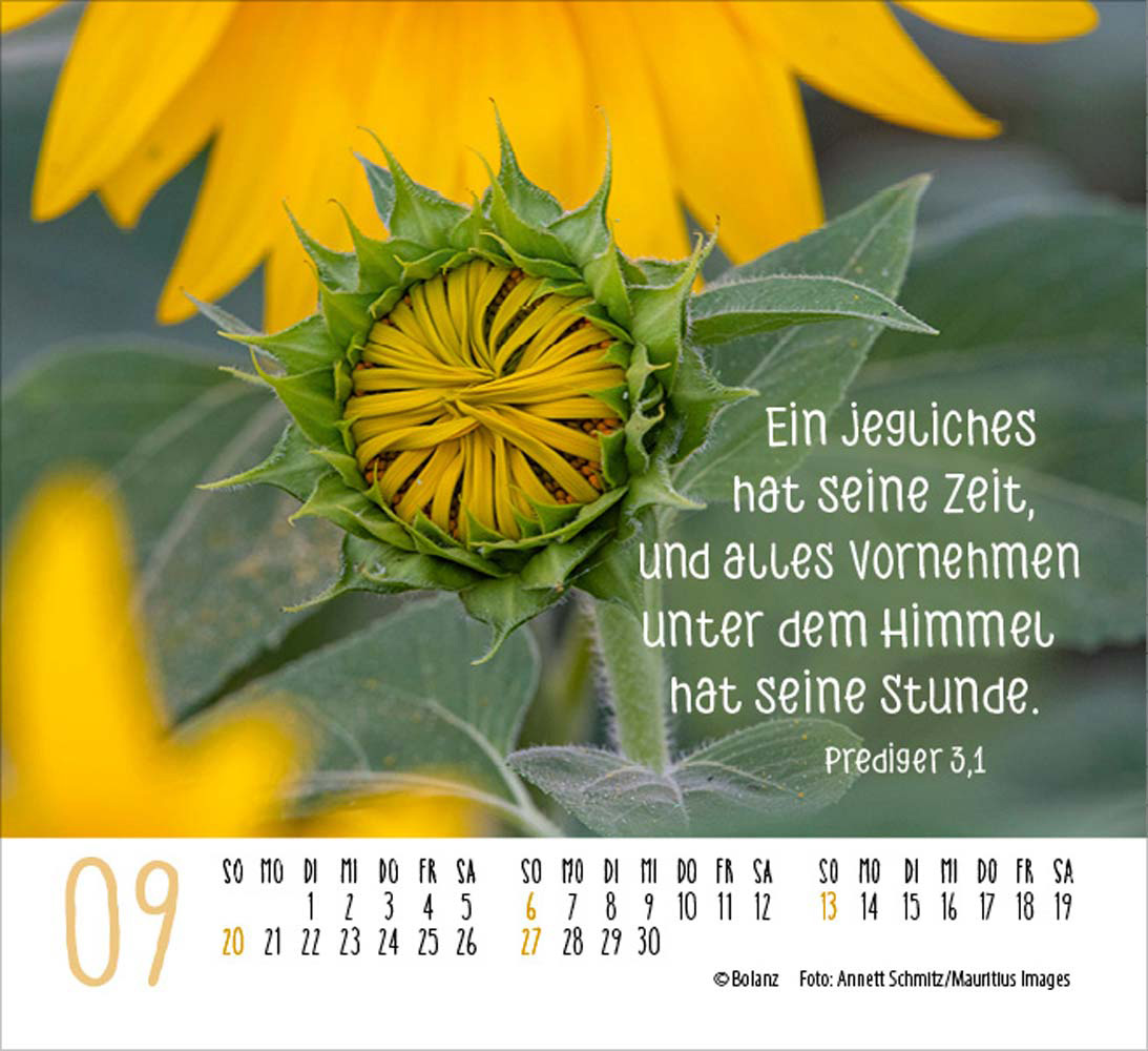 Atempause 2026 - Minikalender