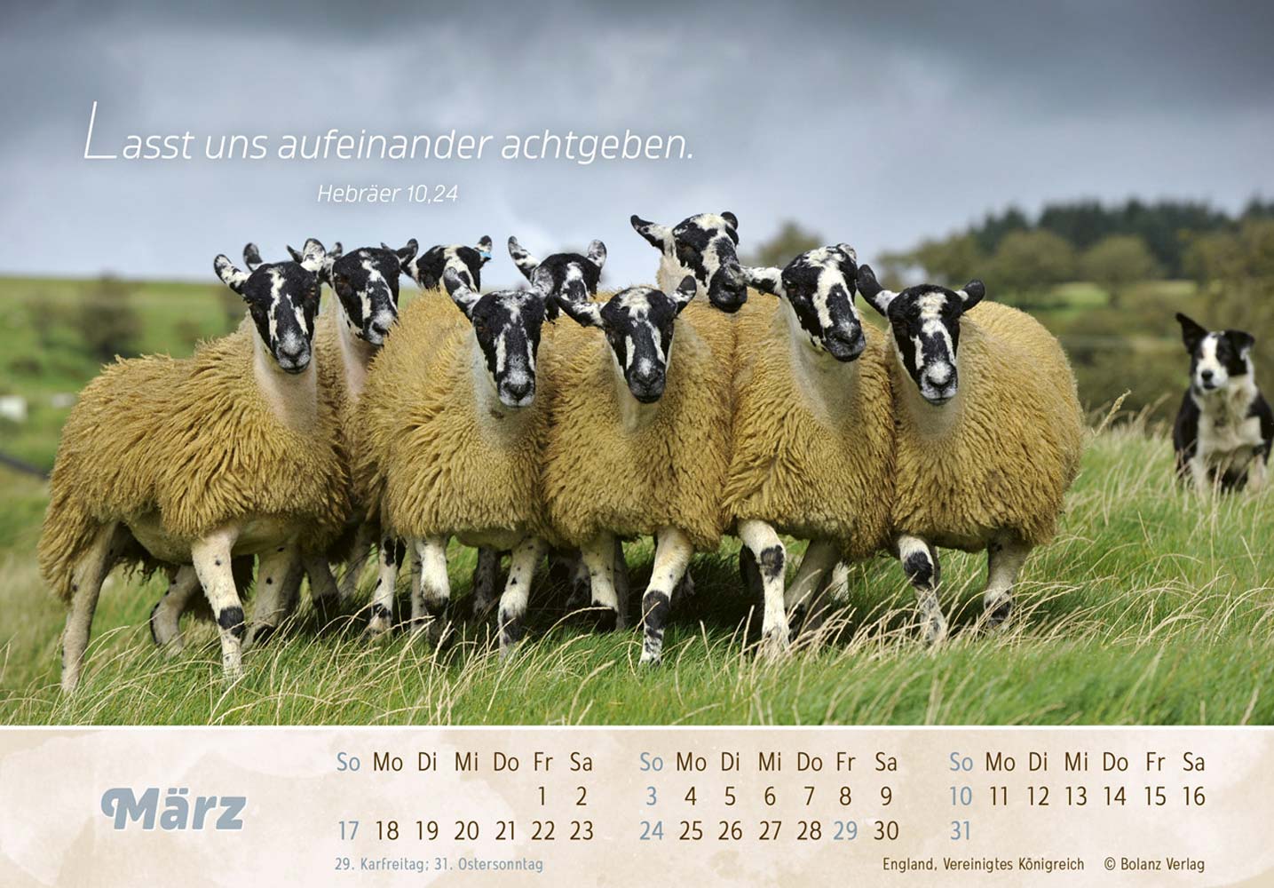 Der Gute Hirte 2024 - Postkartenkalender Der Gute Hirte 2024 - Postkartenkalender