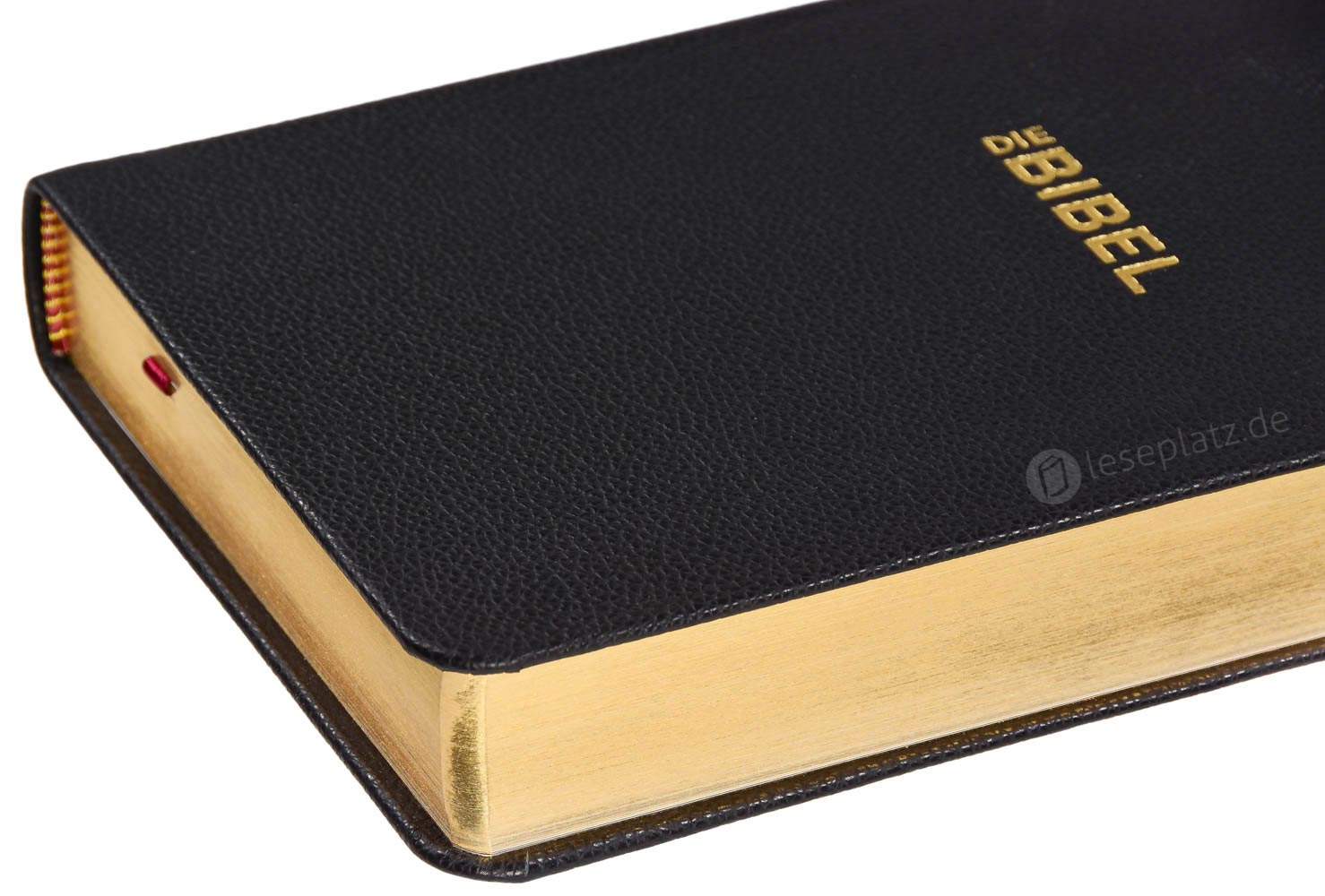 Schlachter 2000 Taschenausgabe - flex.Rindleder schwarz / Goldschnitt