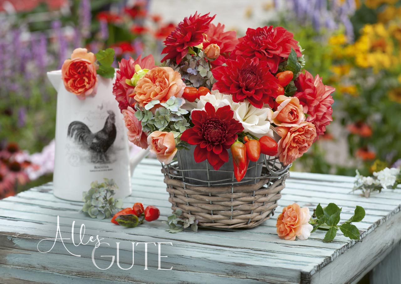 Postkartenbox "Wir feiern im Garten"