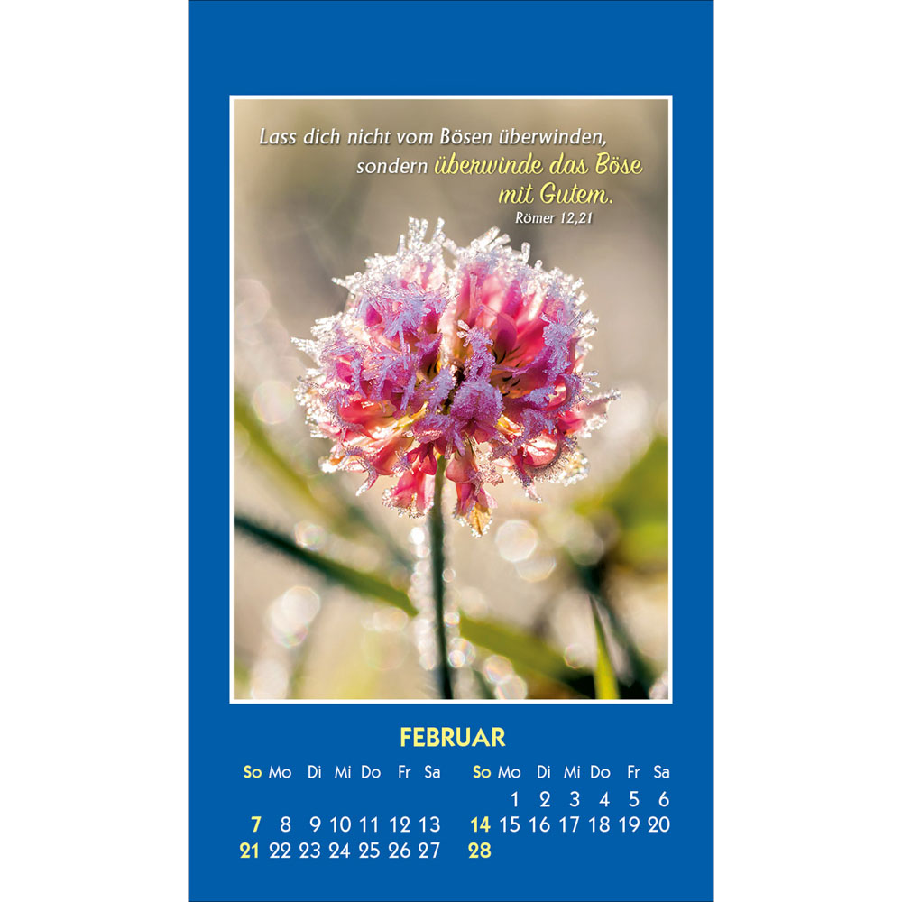 Gottes Wort - Licht für den Tag 2027 - Aufkleberkalender