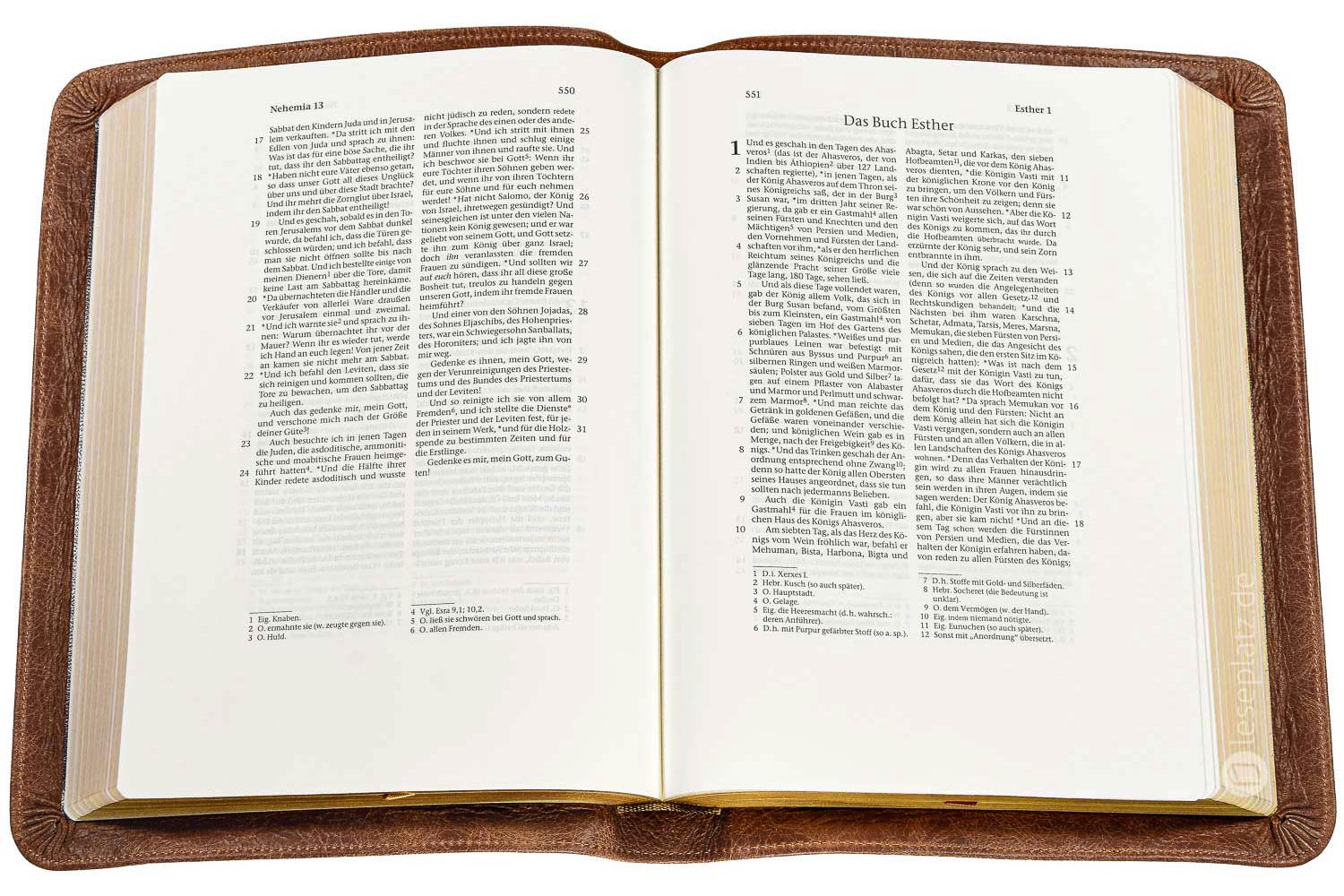 Elberfelder 2003 - kl.Schreibrandausgabe / Kalbsleder Toffee Unique Goldschnitt