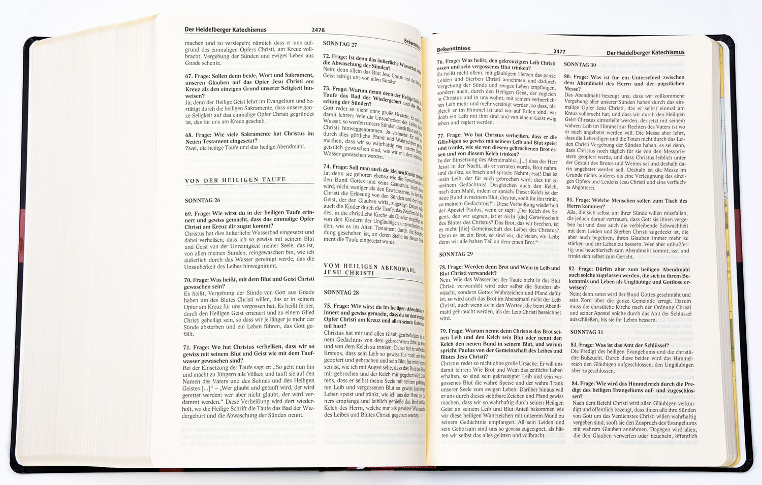 Reformations-Studien-Bibel - Cabra-Leder cognac
