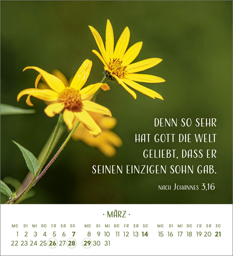 Zarte Blumengrüße 2027 - Tischkalender