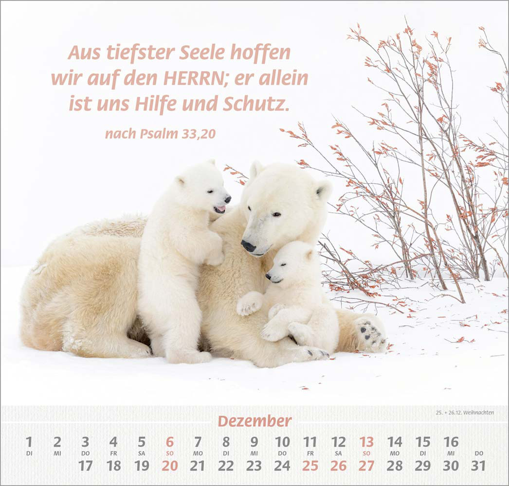 Ich hab dich gern 2026 - Wandkalender