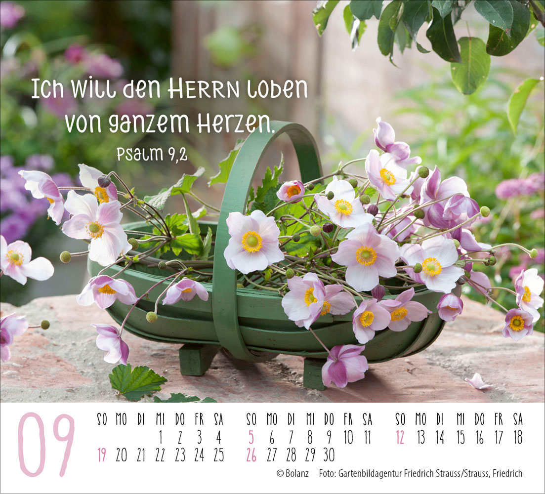 Harmonien für die Seele 2027 - Minikalender