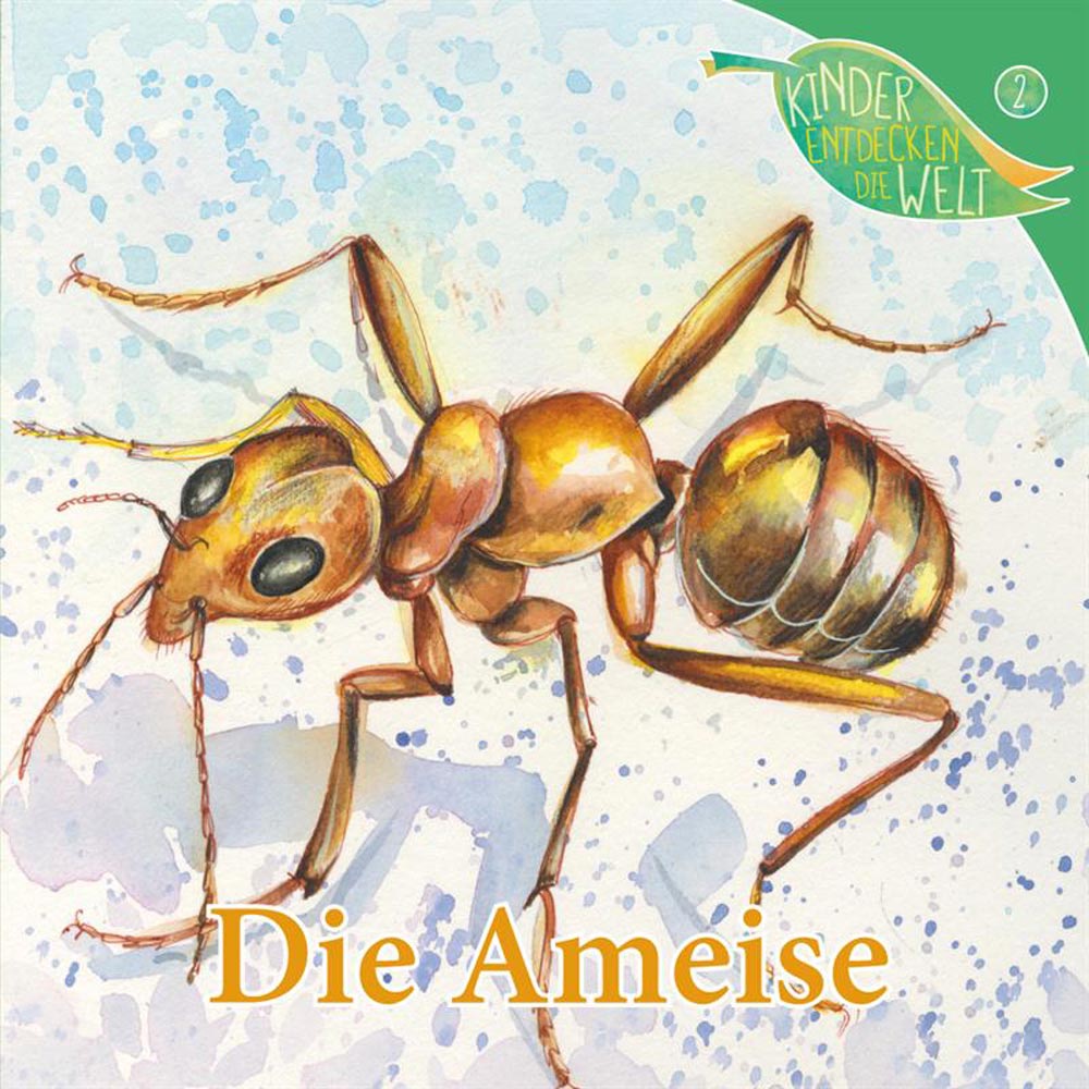 Die Ameise (2)
