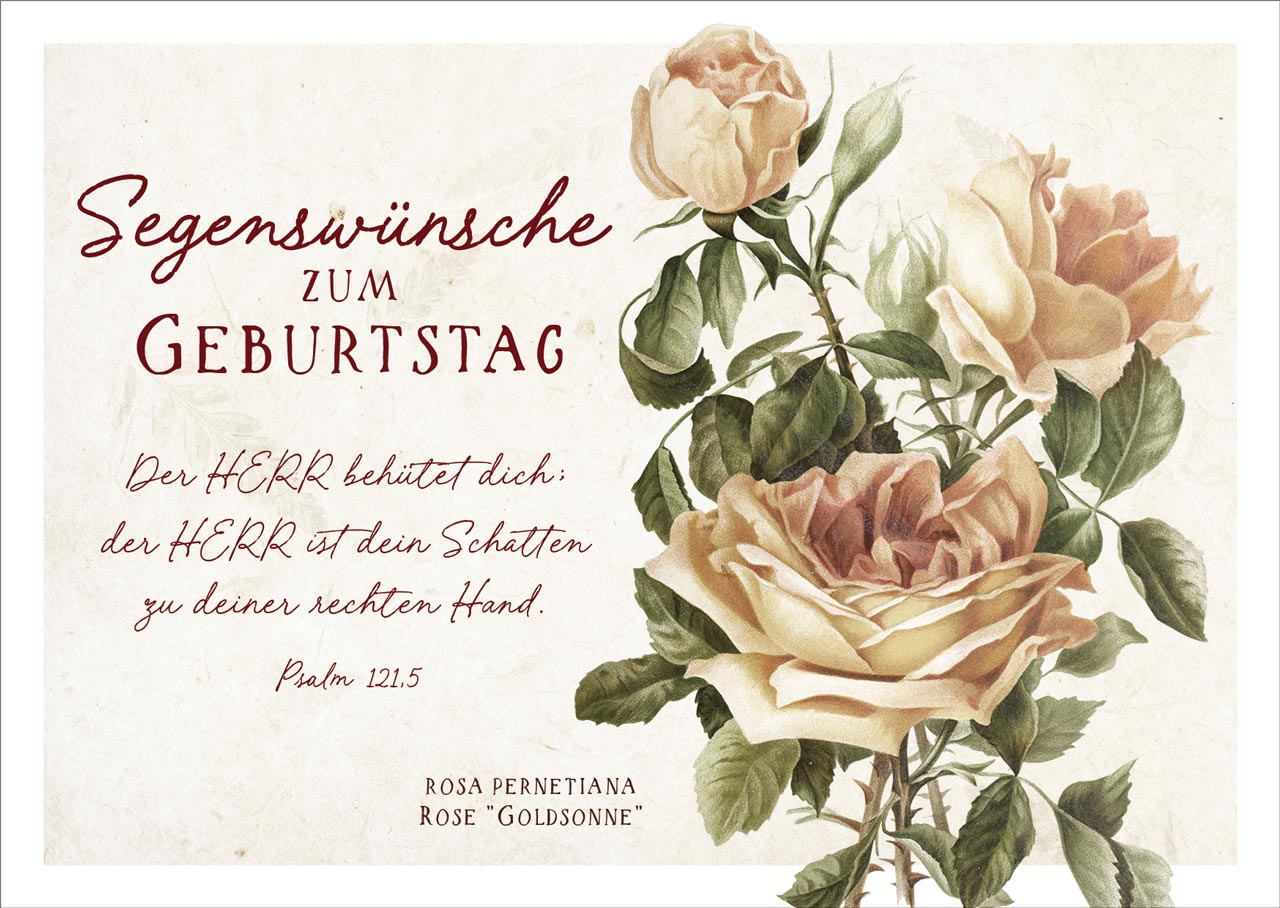 Postkarte "Segenswünsche zum Geburtstag" Postkarte "Segenswünsche zum Geburtstag"