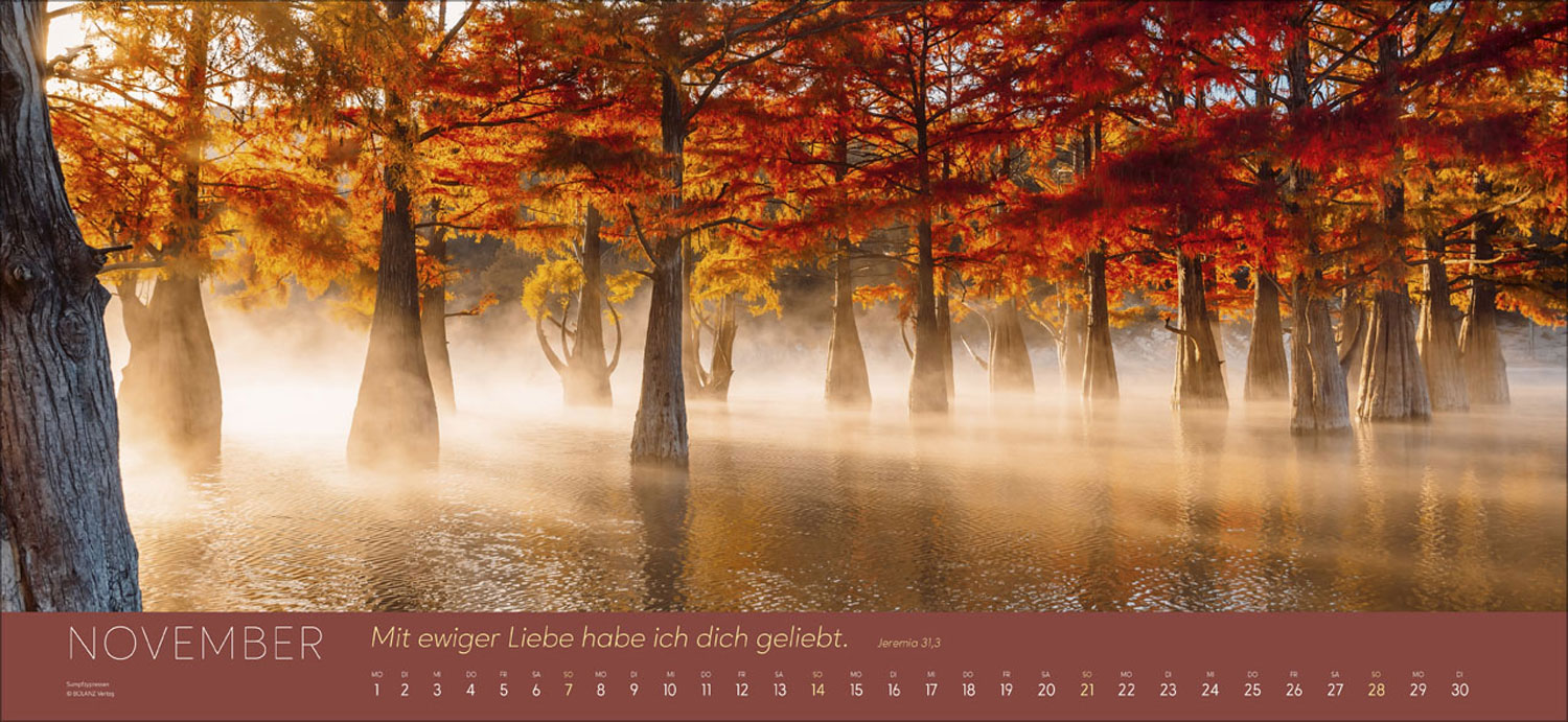 Ewigkeit im Herzen 2027