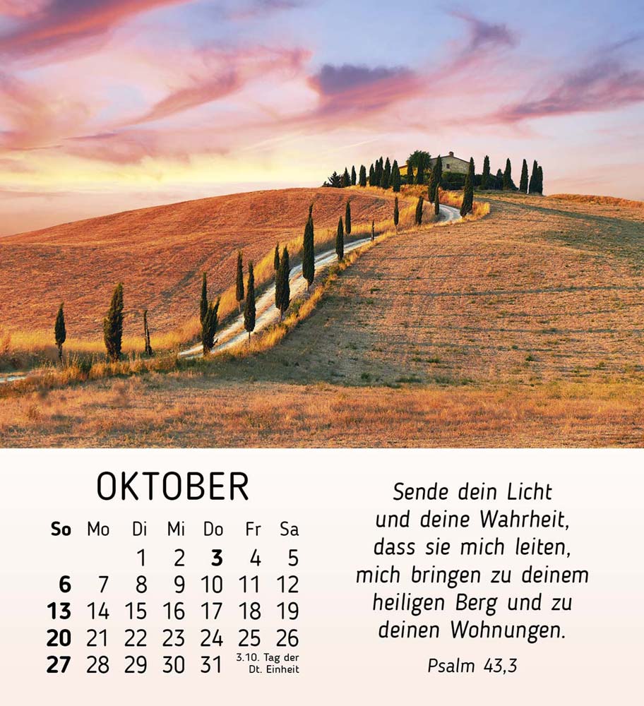 Schönheit des Lichts 2024 Schönheit des Lichts 2024