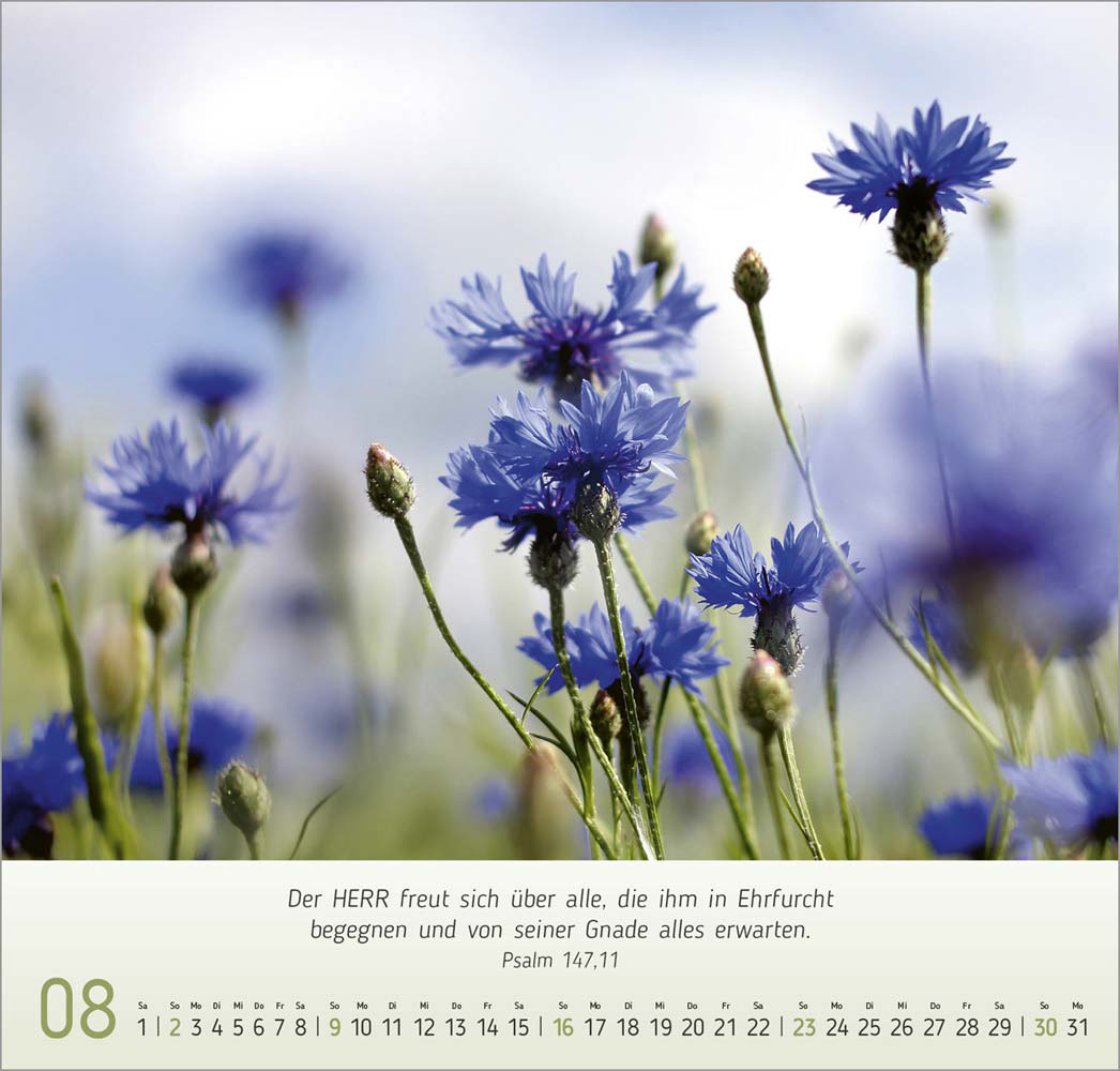 Impressionen Blumen 2026