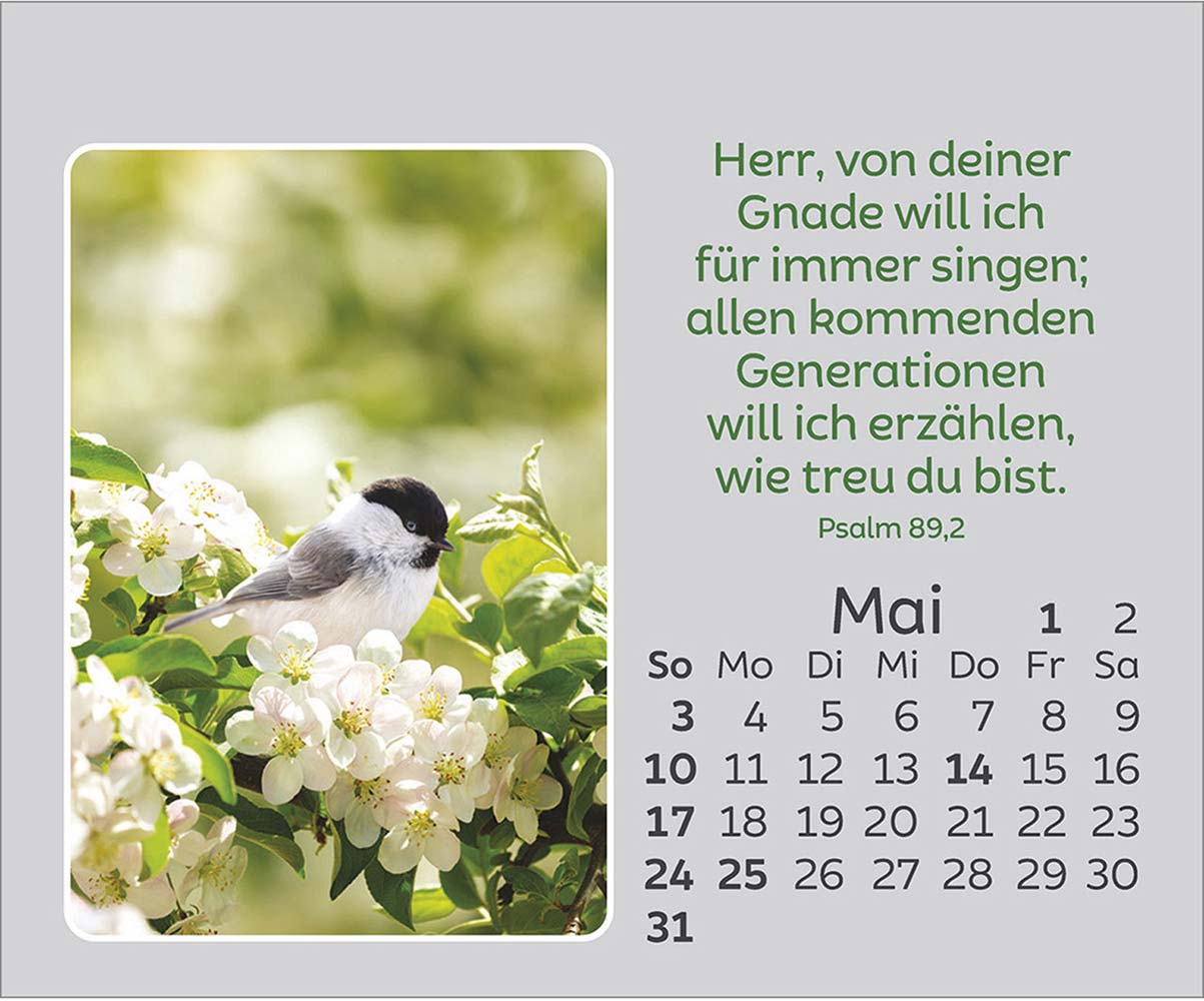 Freude für jeden Tag 2026 Freude für jeden Tag 2026