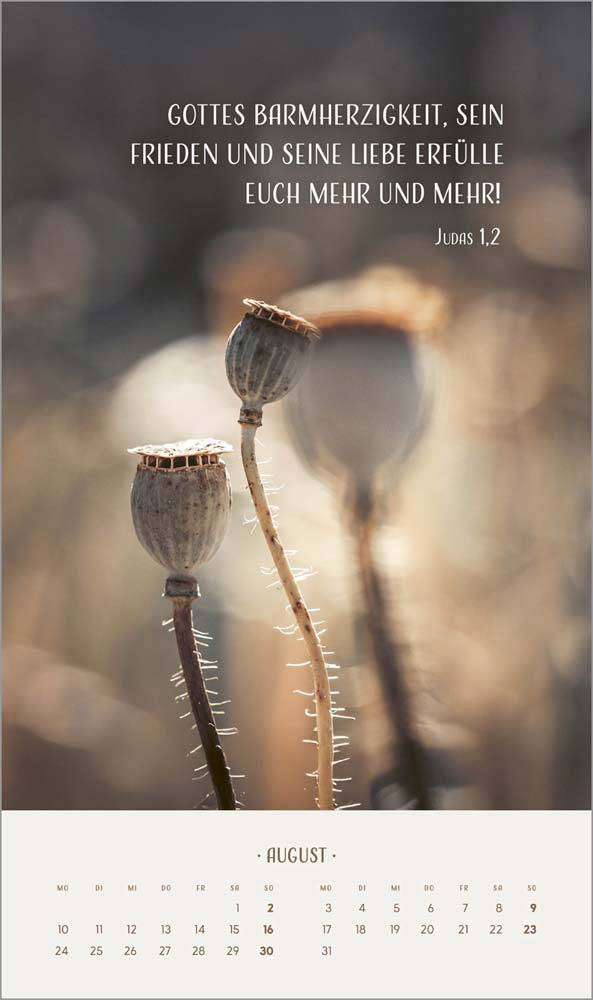 Zarte Blumengrüße 2026 - Wandkalender