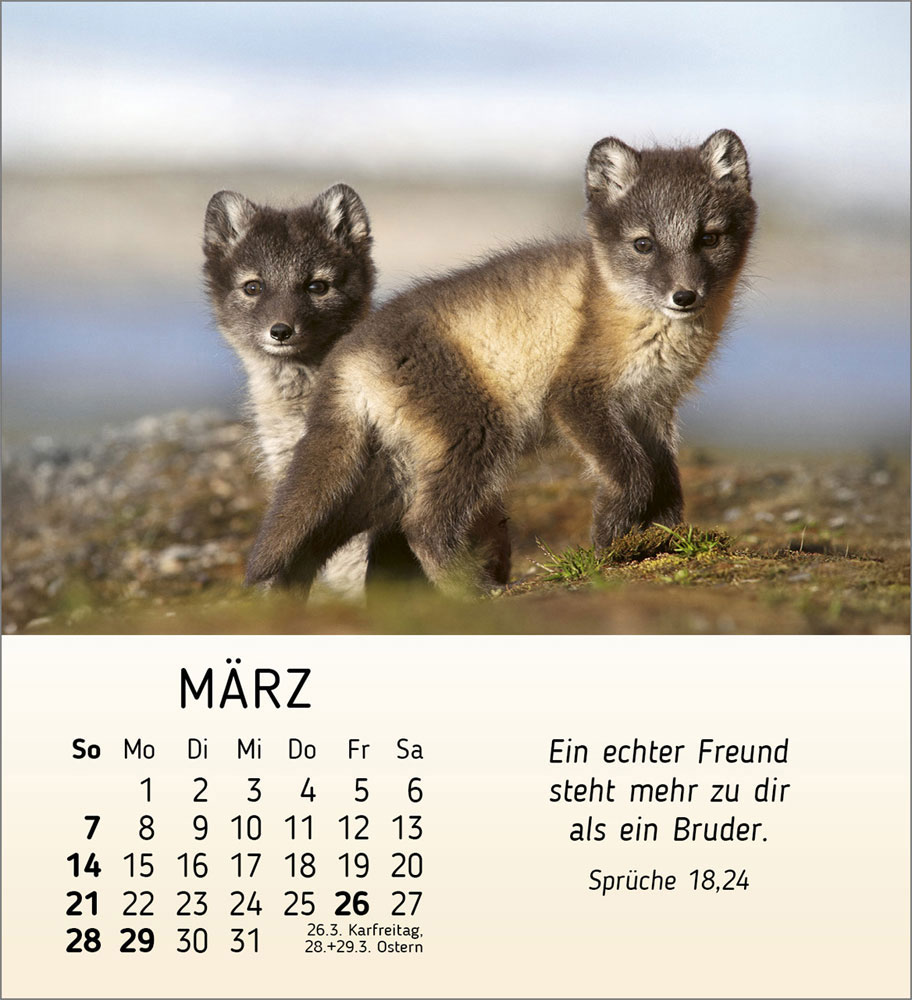 Meine kleinen Freunde 2027