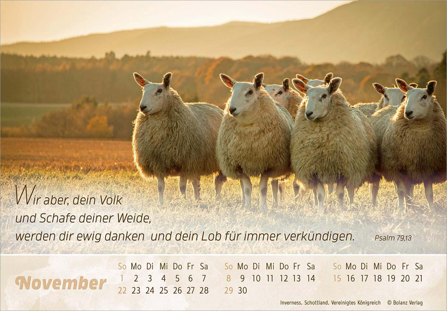 Der Gute Hirte 2026 - Postkartenkalender