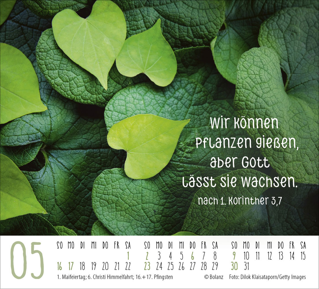 Danke 2027 - Minikalender