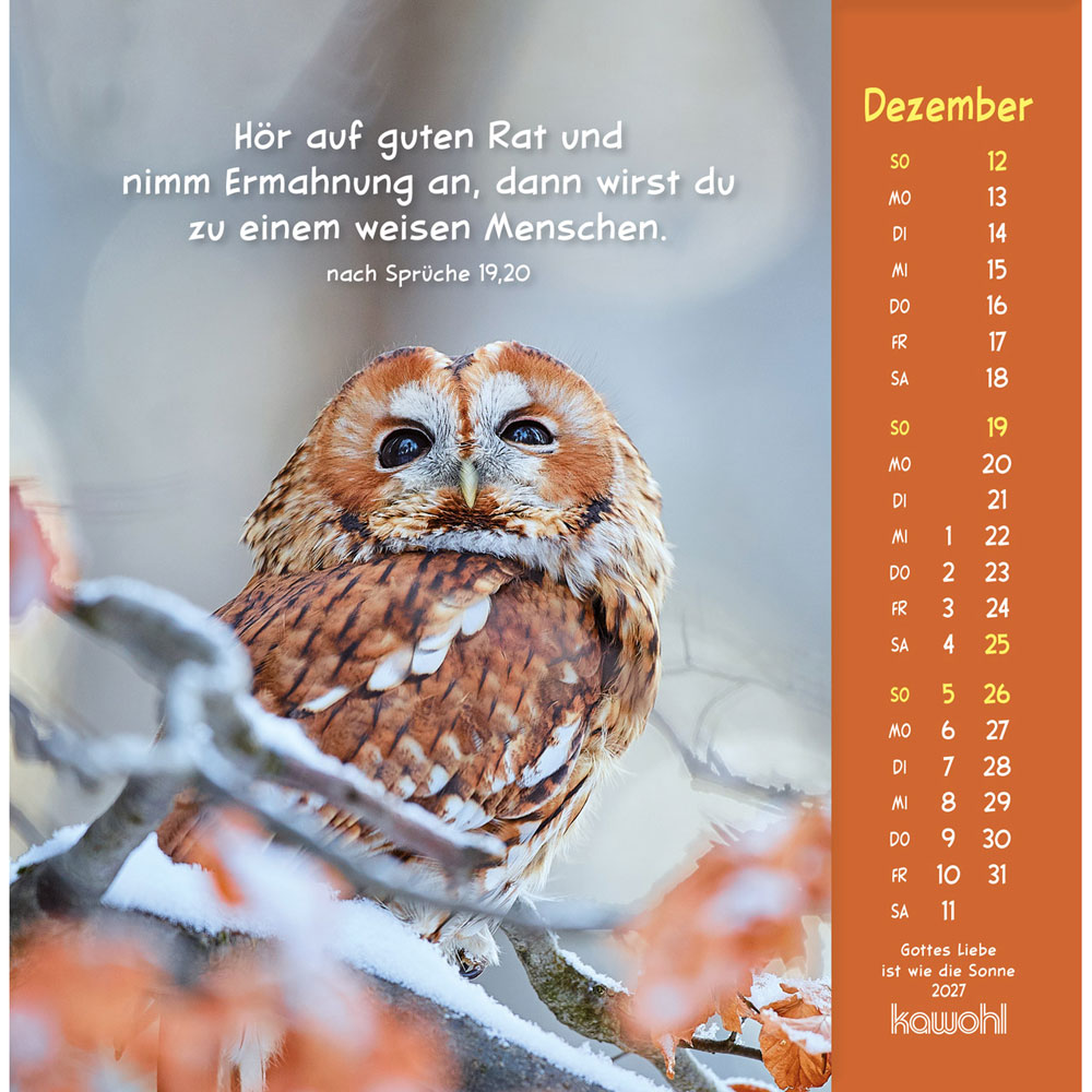 Gottes Liebe ist wie die Sonne 2027 - Postkartenkalender